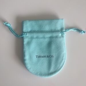 NWT Tiffany and Co Small Drawstring Jewelry Bag